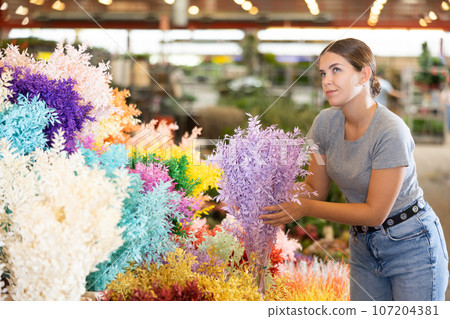 Young female designer choosing colorful dried Italian ruscus in florist shop Young female designer choosing colorful dried Italian ruscus in florist shop 107204381