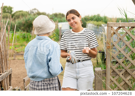 Good neighbors talking in the backyard of house 107204628