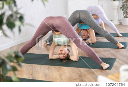 Three women doing yoga in fitness studio Three women doing yoga in fitness studio 107204764