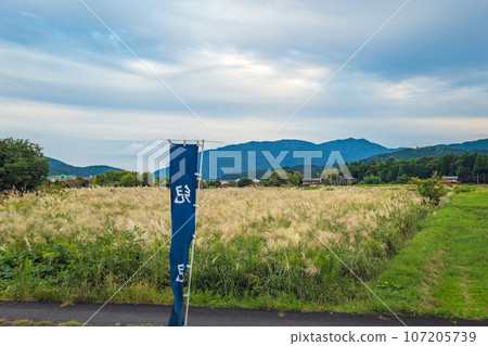 Sekigahara Battlefield Scenery of the battle site Sekigahara Battlefield Scenery of the battle site 107205739