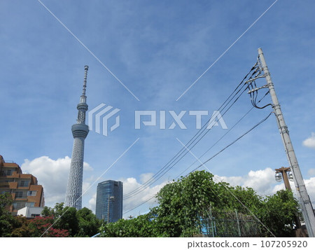 東京天際線景觀 東京天際線景觀 107205920