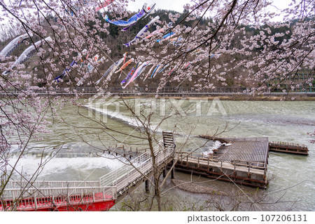 白高柳公園最上川Ayutopia,日本最大的柳田野路邊車站,位於山形縣白高町的最上川 白高柳公園最上川Ayutopia,日本最大的柳田野路邊車站,位於山形縣白高町的最上川 107206131