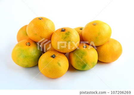 Mandarin orange (light of fertilizer) 107206269