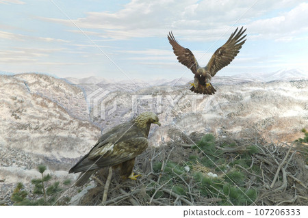 Morioka City, Iwate Prefecture, Iwate Prefectural Museum, Golden Eagle 107206333