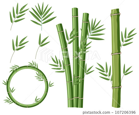 Mix set of bamboo Mix set of bamboo 107206396