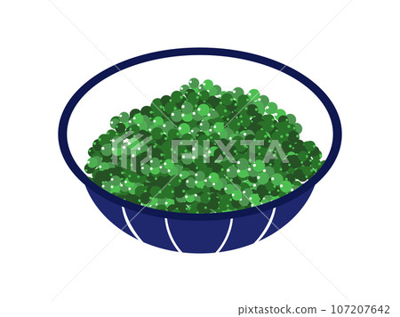 沖繩縣特產海葡萄 107207642