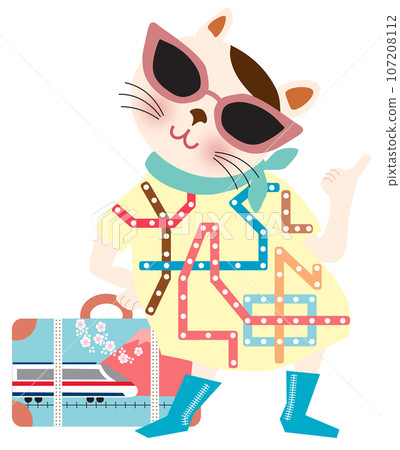 traveling cat wearing sunglasses 107208112