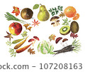 Autumn vegetables and fruits painted in watercolor 107208163