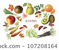 Seasonal vegetables and fruits painted in watercolor (November) 107208164