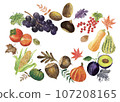 Autumn vegetables and fruits painted in watercolor 107208165