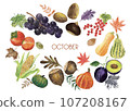 Seasonal vegetables and fruits painted in watercolor (October) 107208167