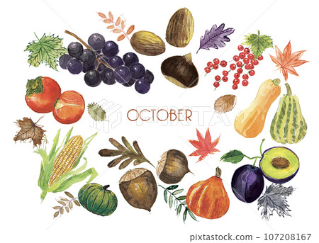 水彩畫時令蔬菜和水果(十月) 水彩畫時令蔬菜和水果(十月) 107208167