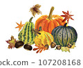 Illustration of pumpkin drawn in watercolor 107208168