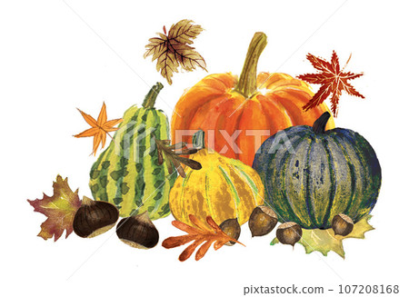 Illustration of pumpkin drawn in watercolor Illustration of pumpkin drawn in watercolor 107208168