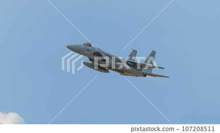 Air Self-Defense Force 304th Squadron F-15J Eagle Air Self-Defense Force 304th Squadron F-15J Eagle 107208511