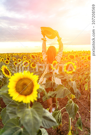 Woman sunflower field. Happy girl in blue dress and straw hat posing in a vast field of sunflowers at sunset. Summer time. 107208569