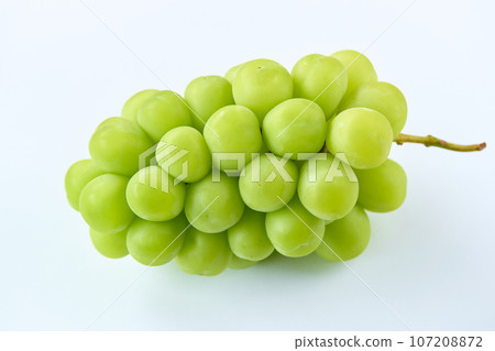 閃耀馬斯喀特/白色背景 107208872