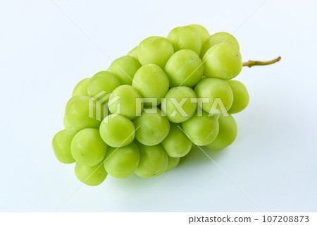 閃耀馬斯喀特/白色背景 107208873