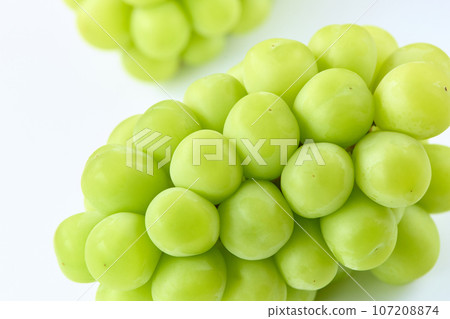 閃耀馬斯喀特/向上/白色背景 107208874