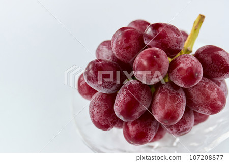 紅皇后/葡萄 紅皇后/葡萄 107208877