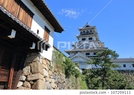 Japan's 100 Famous Castles Imabari Castle 107209111