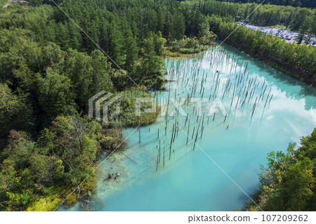 Aerial view of Shirogane Blue Pond in Biei, Hokkaido Aerial view of Shirogane Blue Pond in Biei, Hokkaido 107209262