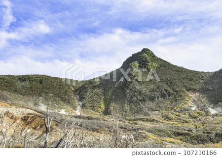 Summer Hakone Owakudani 107210166