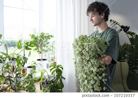 Home plants and the environment A young  man is taking care of plants at home. Glechoma hederacea. 107210337