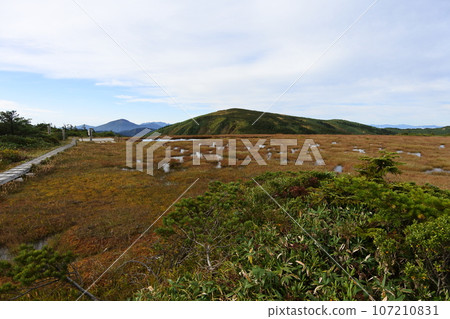 平岳 107210831