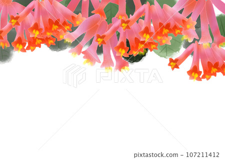 月神堂花卡3 月神堂花卡3 107211412