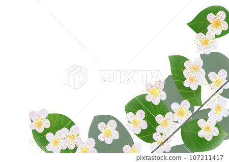 guava flower card guava flower card 107211417