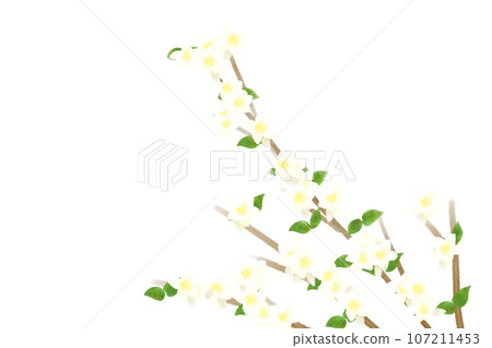 abelia flower card 6 107211453