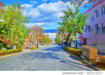 八幡坂的秋景(北海道函館市) 八幡坂的秋景(北海道函館市) 107211517