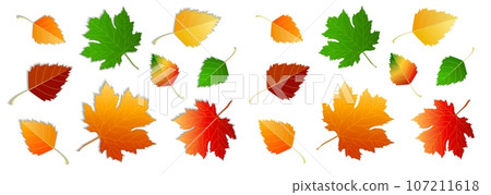 Set of autumn leaves, different colors on white and transparent background, with shadow and no shadow. Concept - autumn, autumn mood. Isolated autumn elements for design. Maple leaves, birch leaves Set of autumn leaves, different colors on white and transparent background, with shadow and no shadow. Concept - autumn, autumn mood. Isolated autumn elements for design. Maple leaves, birch leaves 107211618