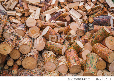 Log pine trunks or sanitary felling of forests, the idea of logging wood for heating houses Log pine trunks or sanitary felling of forests, the idea of logging wood for heating houses 107212504