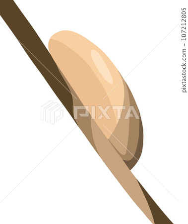 Vector isolated illustration of a nit on a fishing line. The problem of combing out nits. Reproduction of lice. Removal of lice. Vector isolated illustration of a nit on a fishing line. The problem of combing out nits. Reproduction of lice. Removal of lice. 107212805