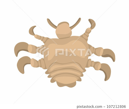 Vector isolated illustration of pubic louse on white background. Vector isolated illustration of pubic louse on white background. 107212806