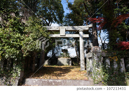 杵築市杵築神社 107213431