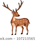 Deer 107213565