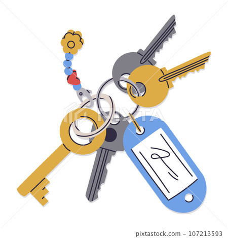 Door keys. Real estate property entrance keys, modern key bunch with plastic tag and keychain. Apartment keys flat vector illustration 107213593