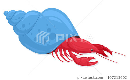 Ocean Animal Cartoon Vector Illustration Set 1 Stock Illustration -  Download Image Now - Hermit Crab, Angelfish, Animal - iStock