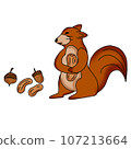 Squirrel  107213664
