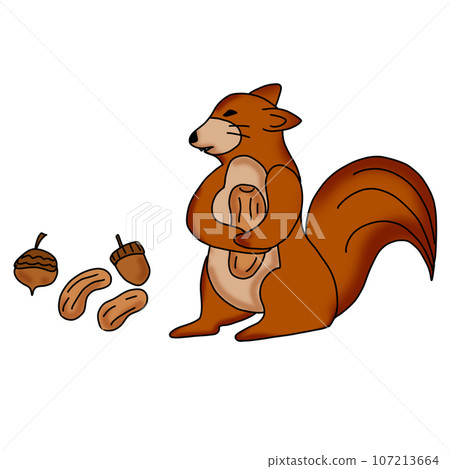 Squirrel Squirrel 107213664