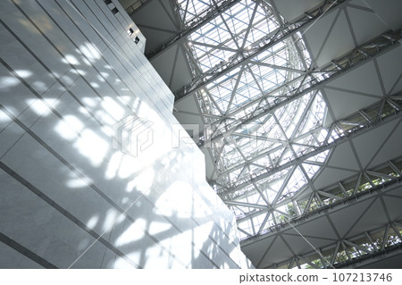 High ceiling 107213746