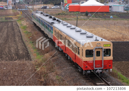 Mixed train of Kiha 30, Kiha 37, and Kiha 38 running on JR Kururi Line_Photo taken on February 11, 2010 107213806