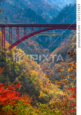 [Saitama Prefecture, Chichibu City, Saikai Kaido] Ganzaka Ohashi Bridge and Mameyaki Bridge floating in the brocade of autumn leaves October November 107213924