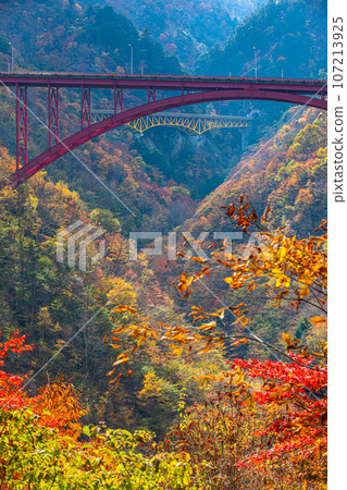 [Saitama Prefecture, Chichibu City, Saikai Kaido] Ganzaka Ohashi Bridge and Mameyaki Bridge floating in the brocade of autumn leaves October November 107213925