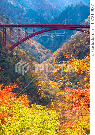 [Saitama Prefecture, Chichibu City, Saikai Kaido] Ganzaka Ohashi Bridge and Mameyaki Bridge floating in the brocade of autumn leaves October November 107213927