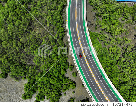 Aerial drone view curve road with green mangrove forest and mudflat beach. Mangroves capture CO2. Natural carbon sink. Blue carbon ecosystems. Mangroves absorb carbon dioxide. Net zero emissions. 107214475