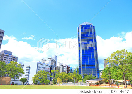 神戶市、神戶市政廳和新鮮的綠色風景 神戶市、神戶市政廳和新鮮的綠色風景 107214647